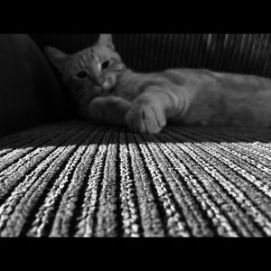 Meet your Posher, Madison